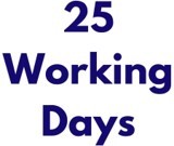 25 working days image