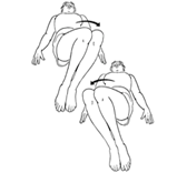 Knee rolls