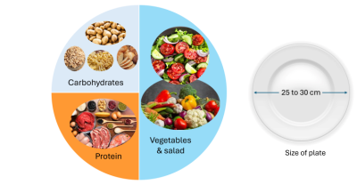 Circular image showing carbohydrates on top left, protein on bottom left and vegetables and salad on right.  Also shows plate size of 25 to 30 cm wide.