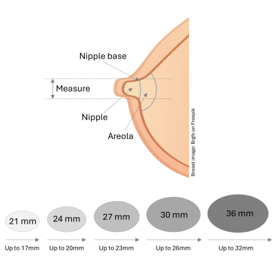 Nipple shield sizing image